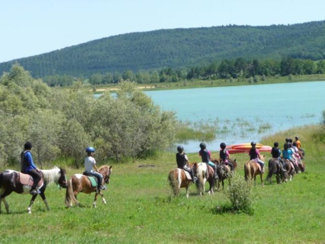 Equitation